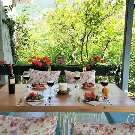 Stonehouse-2 דליאן