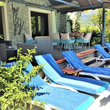 וילה Stonehouse-2 דליאן