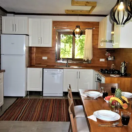 Stonehouse-2 Dalyan